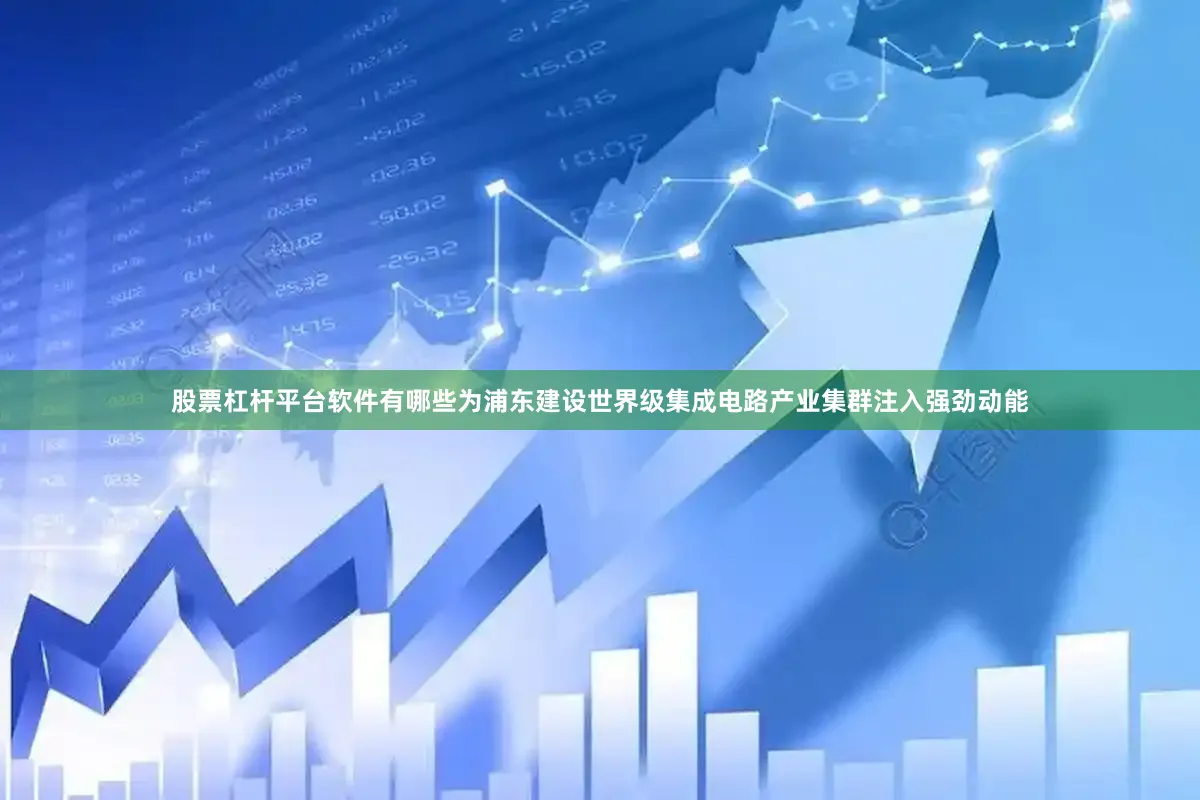 股票杠杆平台软件有哪些为浦东建设世界级集成电路产业集群注入强劲动能