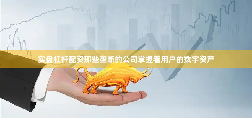 实盘杠杆配资那些垄断的公司掌握着用户的数字资产