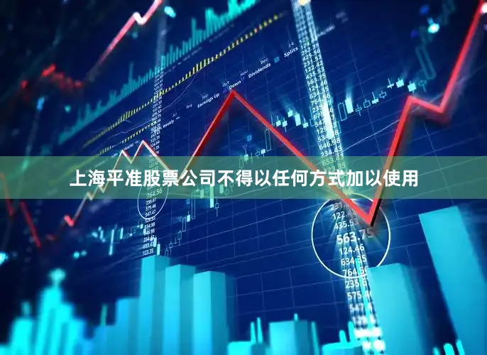 上海平准股票公司不得以任何方式加以使用