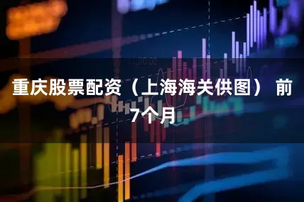 重庆股票配资（上海海关供图） 　　前7个月